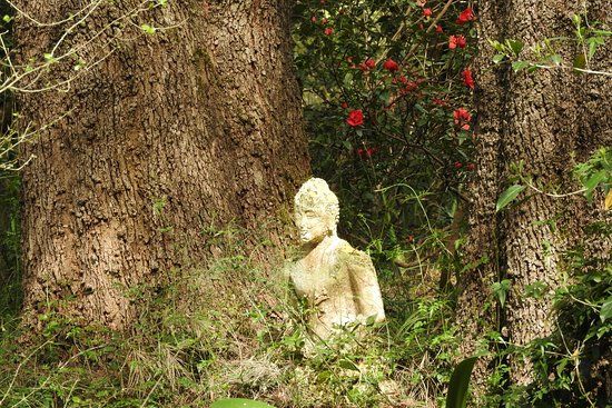 The Buddhist Retreat Centre