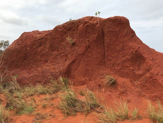 Red Desert