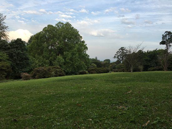 Wylie Park