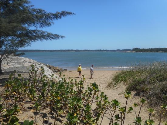 Pelican Island