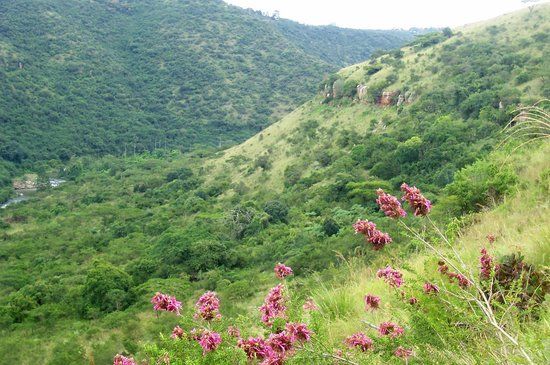 Umgeni Valley Enviromental Education Center