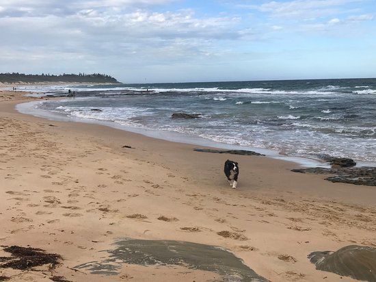 Shelley Beach