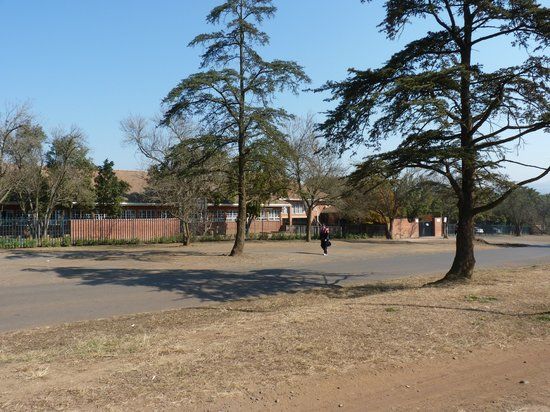 Alexandra Park
