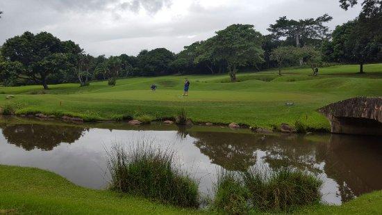 Selborne Park