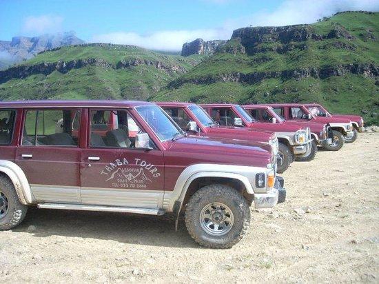 Thaba Tours - Day Tours