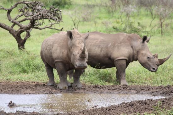 East Coast Safaris - Day Tours