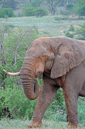Wild-Life Tours