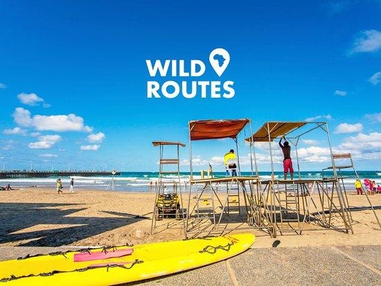 Wild Routes Africa