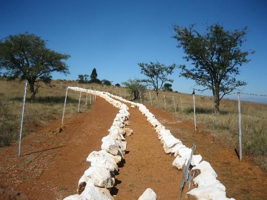 Spion Kop Battlefield