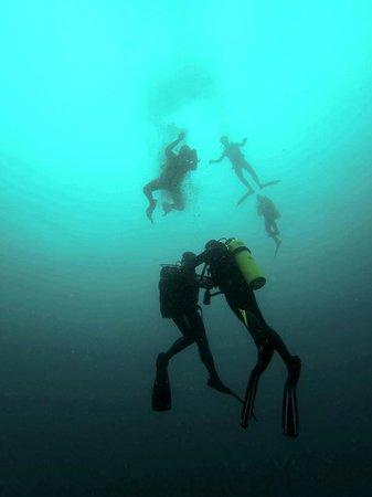 Blue Vision Dive Centre