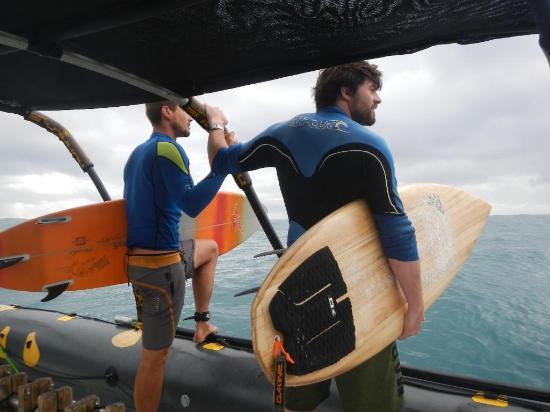SA Surfari