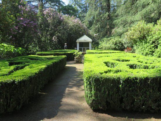 Benvie Garden