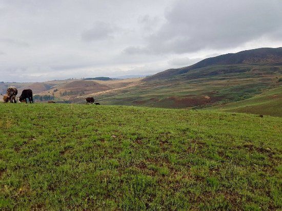 Ushaka Horse Trails
