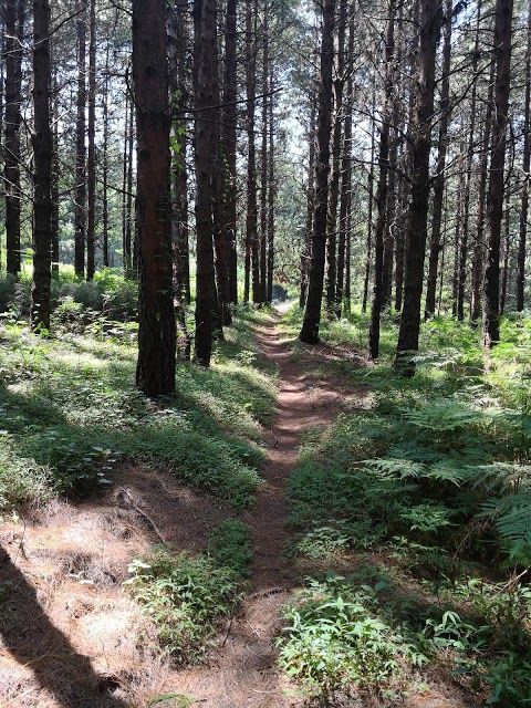 Karkloof Mountain Bike Club