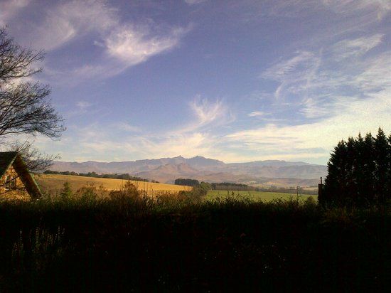 Underberg Studio